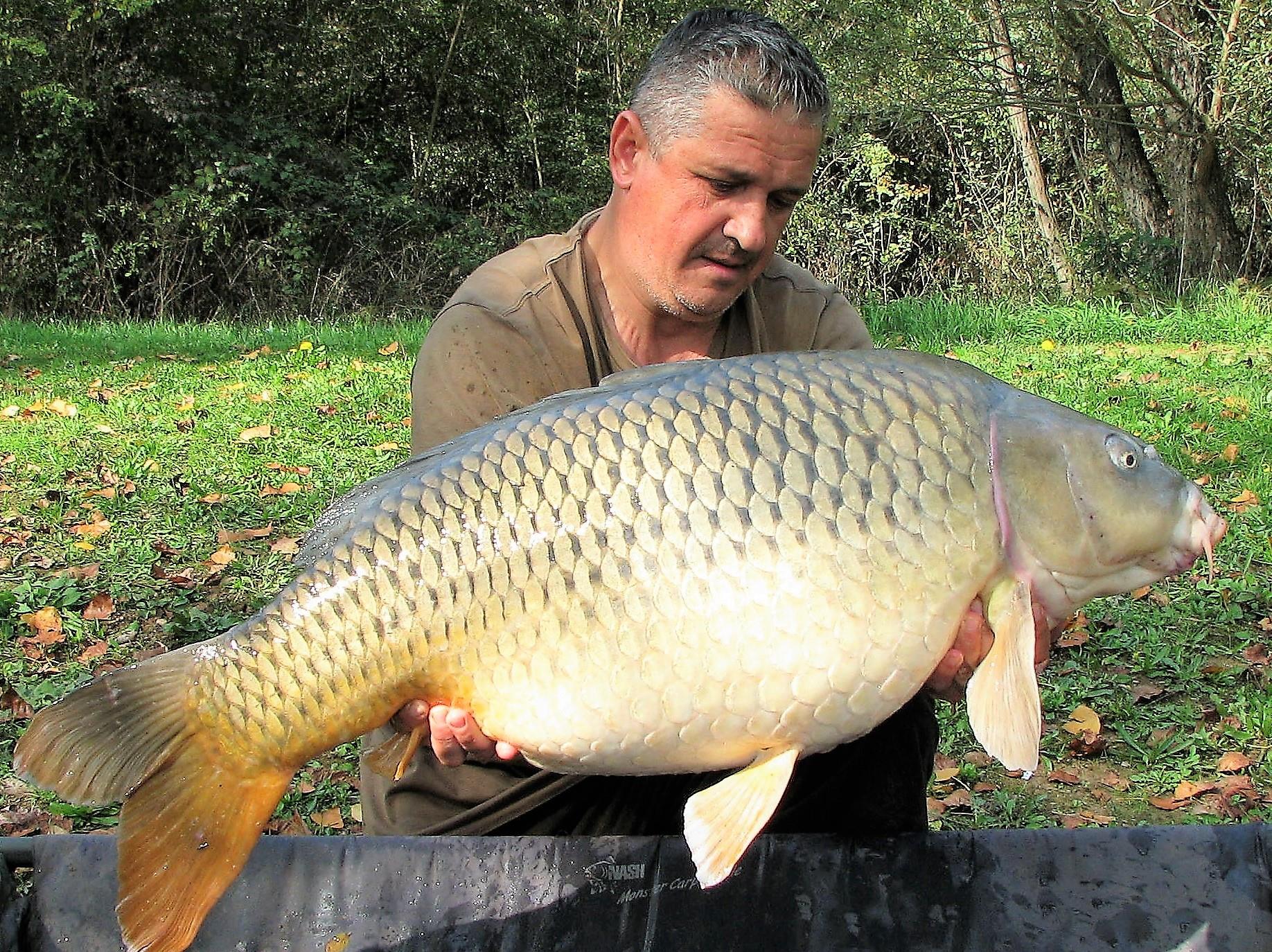 Pelagicevo 8 - 15 octombrie 2017 - img9.jpg